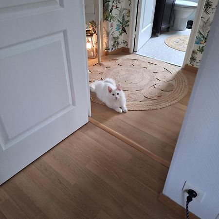 Chambre Climatisee Au Coeur De Brive Avec Televiseur Connecte Wifi Netflix ภายนอก รูปภาพ