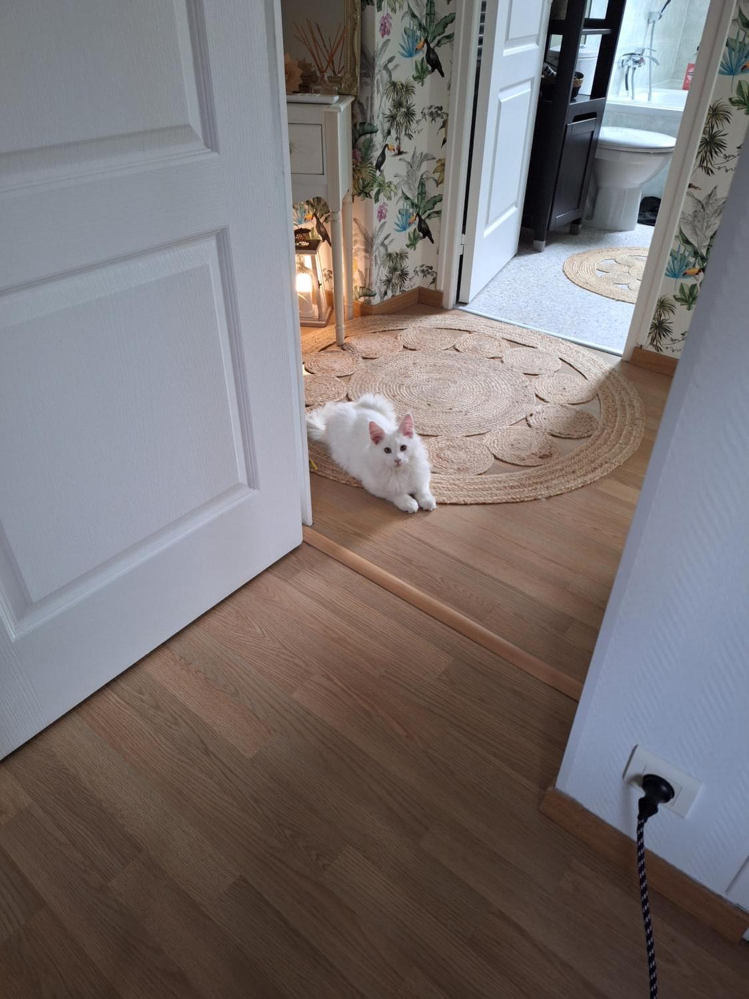 Chambre Climatisee Au Coeur De Brive Avec Televiseur Connecte Wifi Netflix ภายนอก รูปภาพ